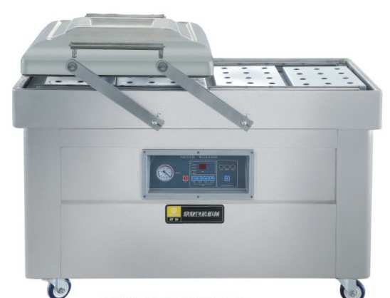 Vacuum Sealer DZ600-2SA
